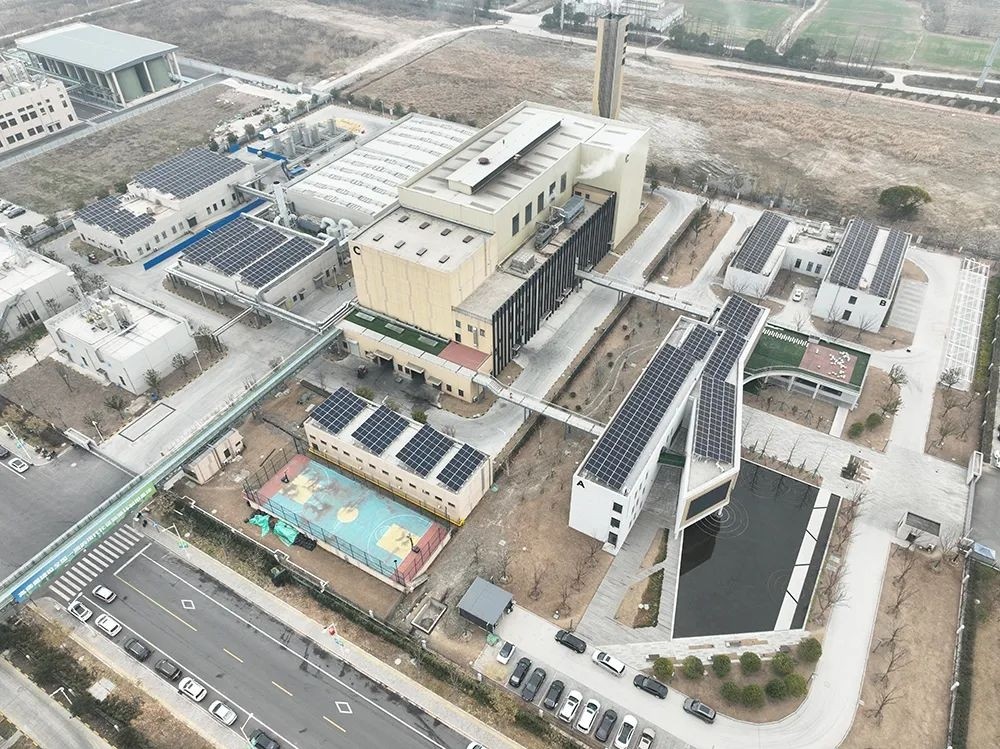 1678426431204320NgfS.jpg 640.jpg